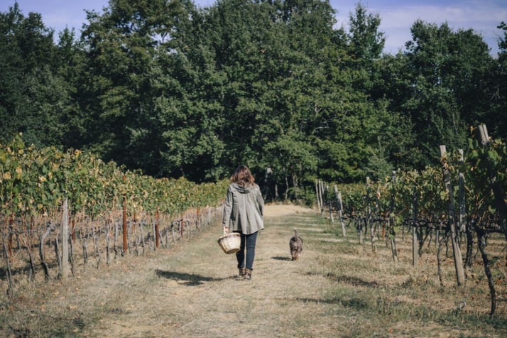 Carlotta Parisi walking through the winery