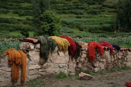 Dyeing materials in Andean Mountain Country - Harriet Goodall artist