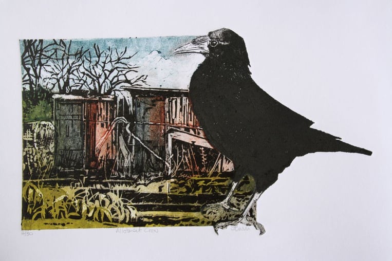 Allotment Crow - Collagraph with lino  - Sue Brown Artwork